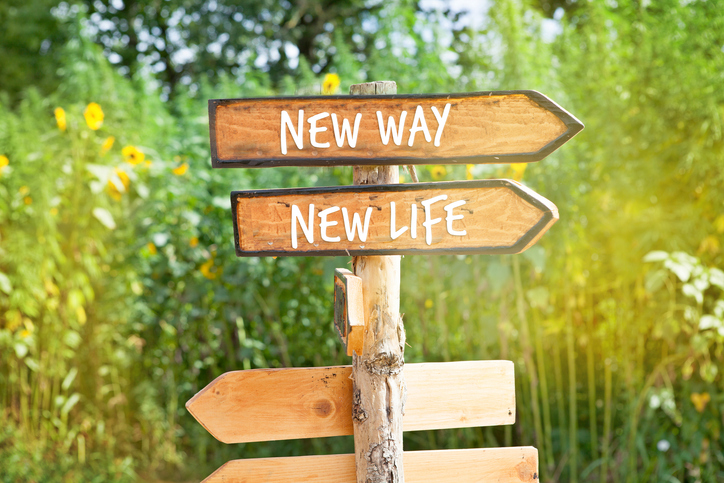 new life