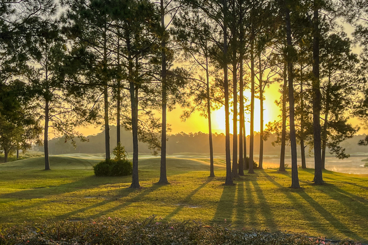 Georgia Pines CSB